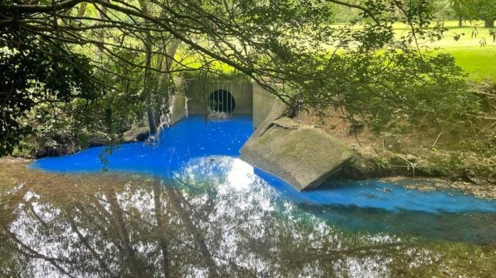 Ручей в Англии окрасился в ярко-синий цвет. Фото: HERTS AND ESSEX COMMUNITY FARM
