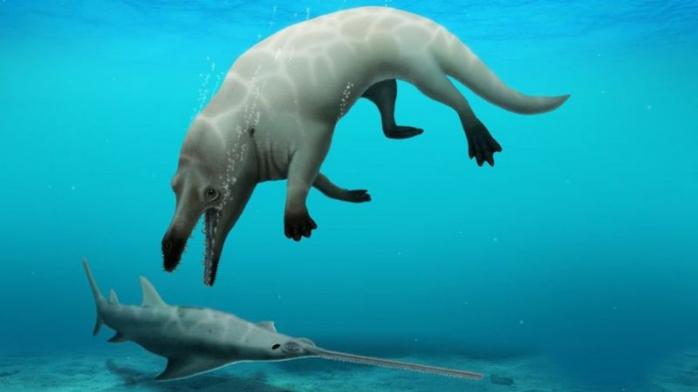 Скелет четвероногого кита-амфибии нашли в Египте