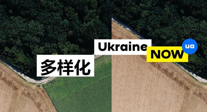 Сайт України заговорив китайською. Фото: 