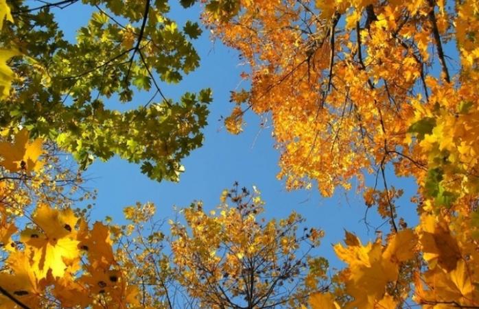 Антициклон принесет солнце в Украину - погода на 3 октября