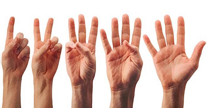 Щороку 23 вересня відзначають Міжнародний день жестових мов, фото: «Как научиться всему»