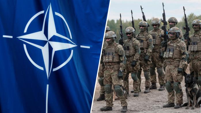 Вступление Украины в НАТО. Фото: RT