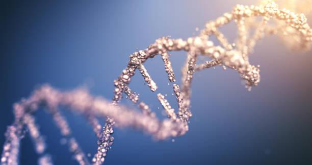 ДНК. Фото: istock