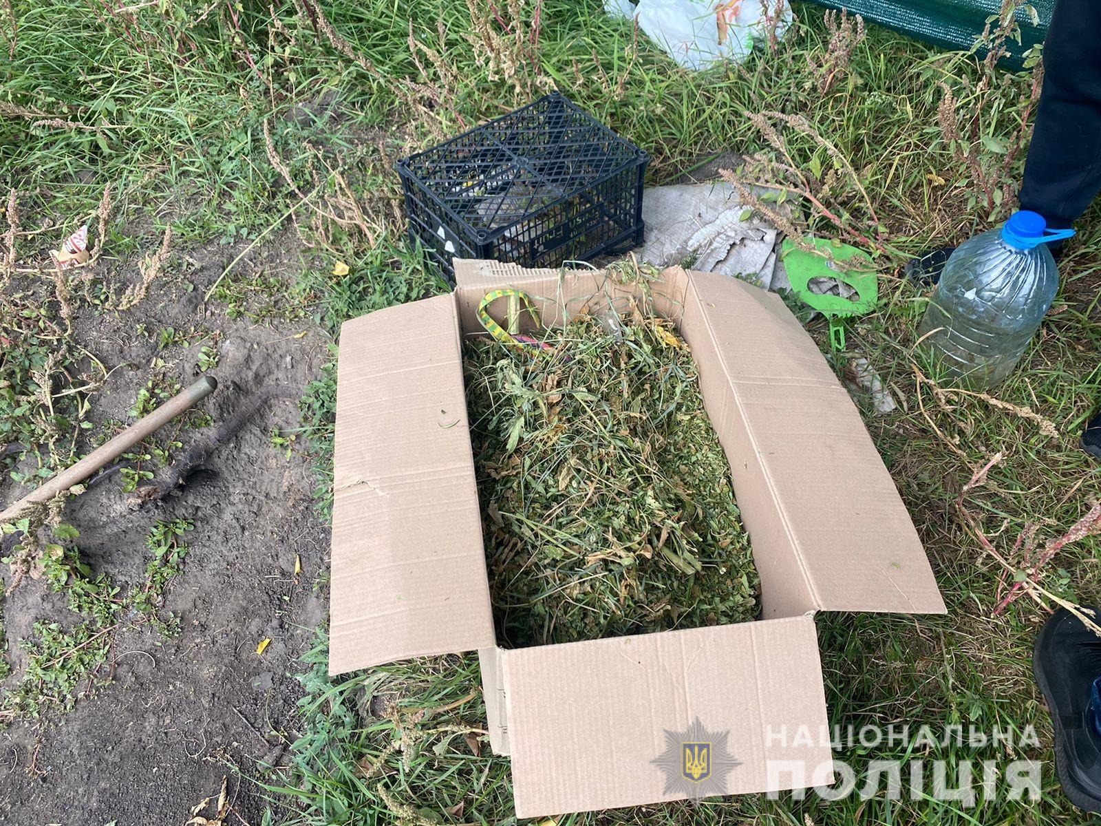 Доглядали дбайливо - біля Дніпра знайшли теплицю з елітними коноплями