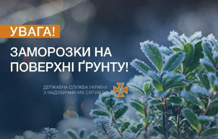Заморозки на ближайшие дни спрогнозировали в Украине. Фото: ГСЧС