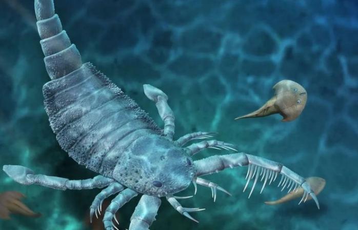 Гигантского предка скорпиона возрастом 435 млн лет нашли в Китае
