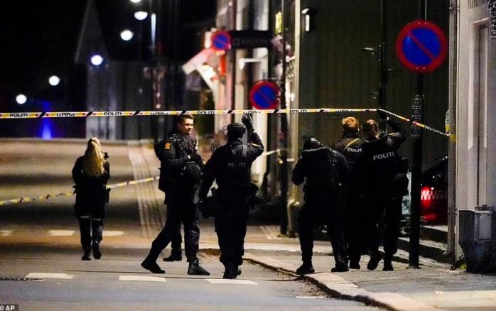 Мужчина расстрелял пять человек из лука в Норвегии, есть раненые 