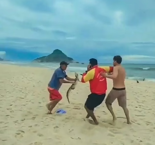 Бразилець під час сутички відбивався маленьким алігатором. Скріншот з відео