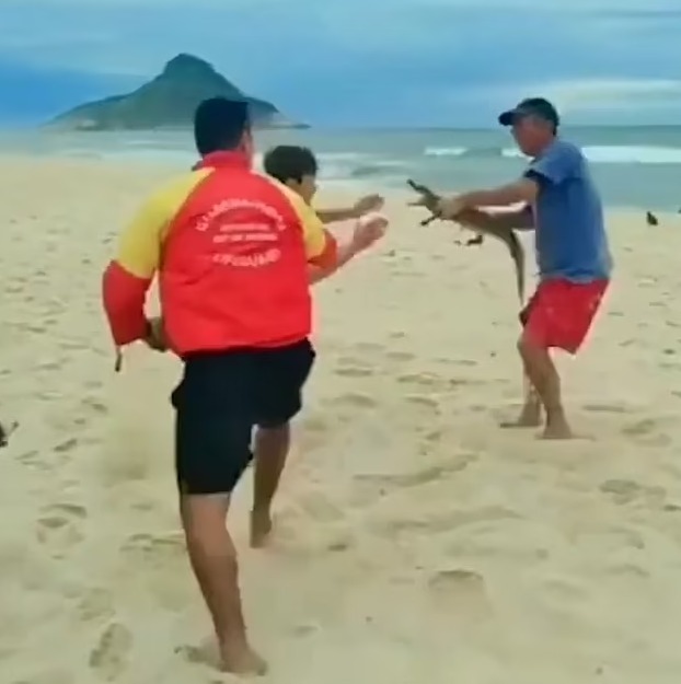 Бразилець під час сутички відбивався маленьким алігатором. Скріншот з відео