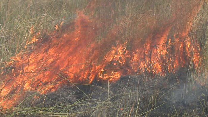 Выжигание сухой растительности в Украине разрешили только в трех случаях