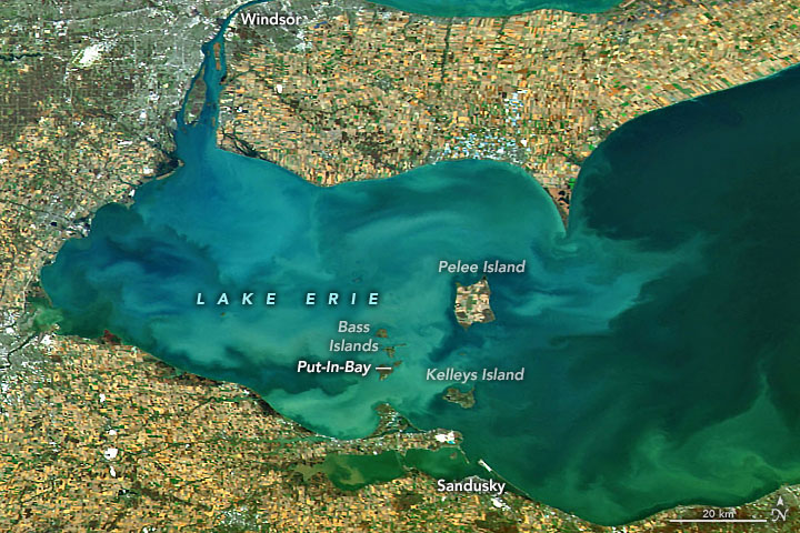 Снимок озера Эри из космоса. Фото: NASA