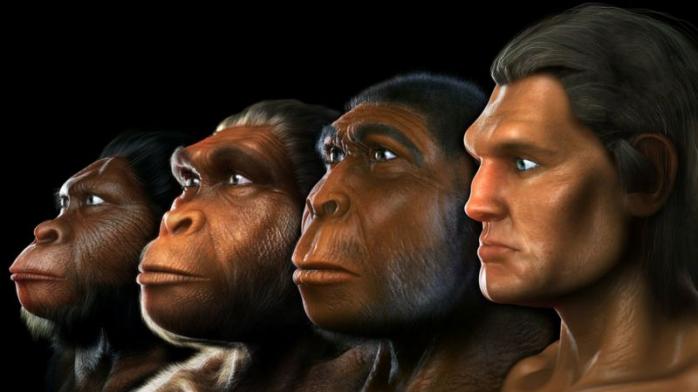 Нового предка людини відкрили вчені. Фото: SCIENCE PICTURE CO/SCIENCE 