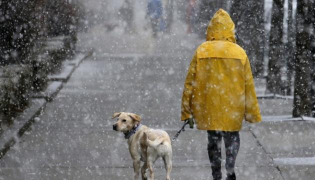 Мокрый снег в Украине спрогнозировали синоптики – где ожидать. Фото: Укринформ