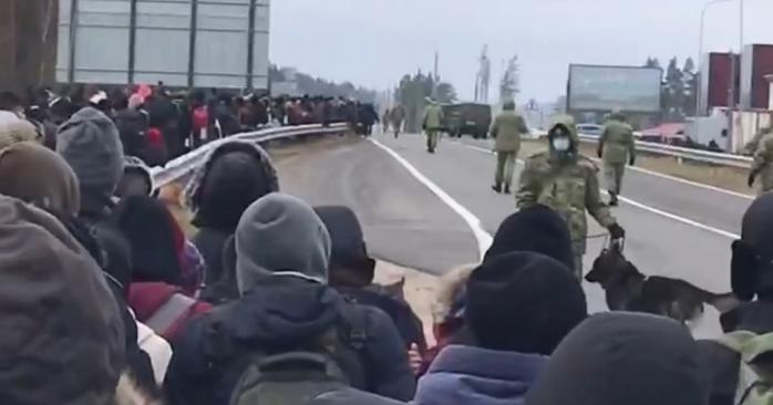 Сотни мигрантов в сопровождении силовиков с собаками двинулись к границе Беларуси и Польши, скриншот видео