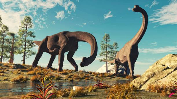Найден ранее неизвестный вид крупных динозавров. Фото: istock