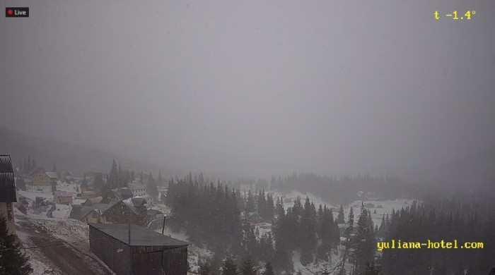 Сніг у Драгобраті, скріншот відео