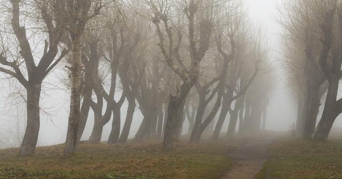 Туман обіцяють синоптики. Фото: flickr.com