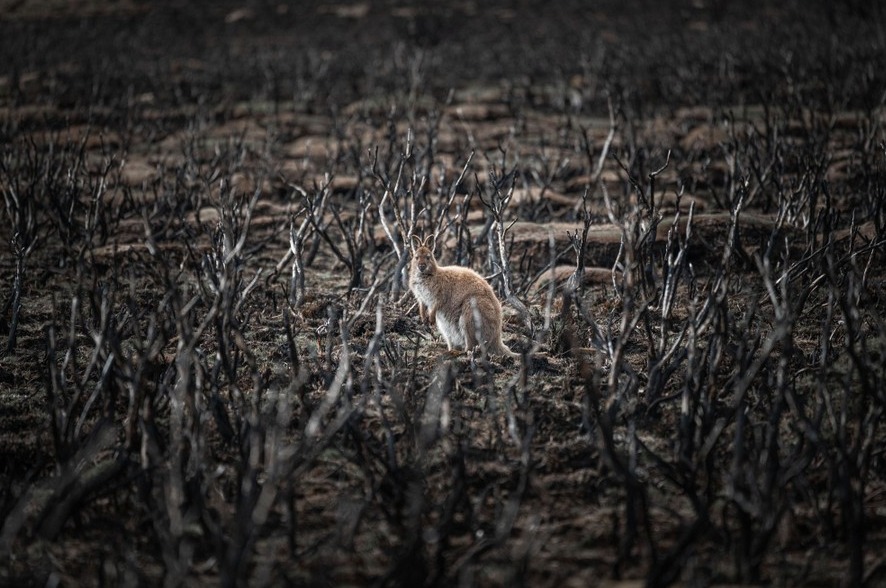 Фото: naturallandscapeawards.com