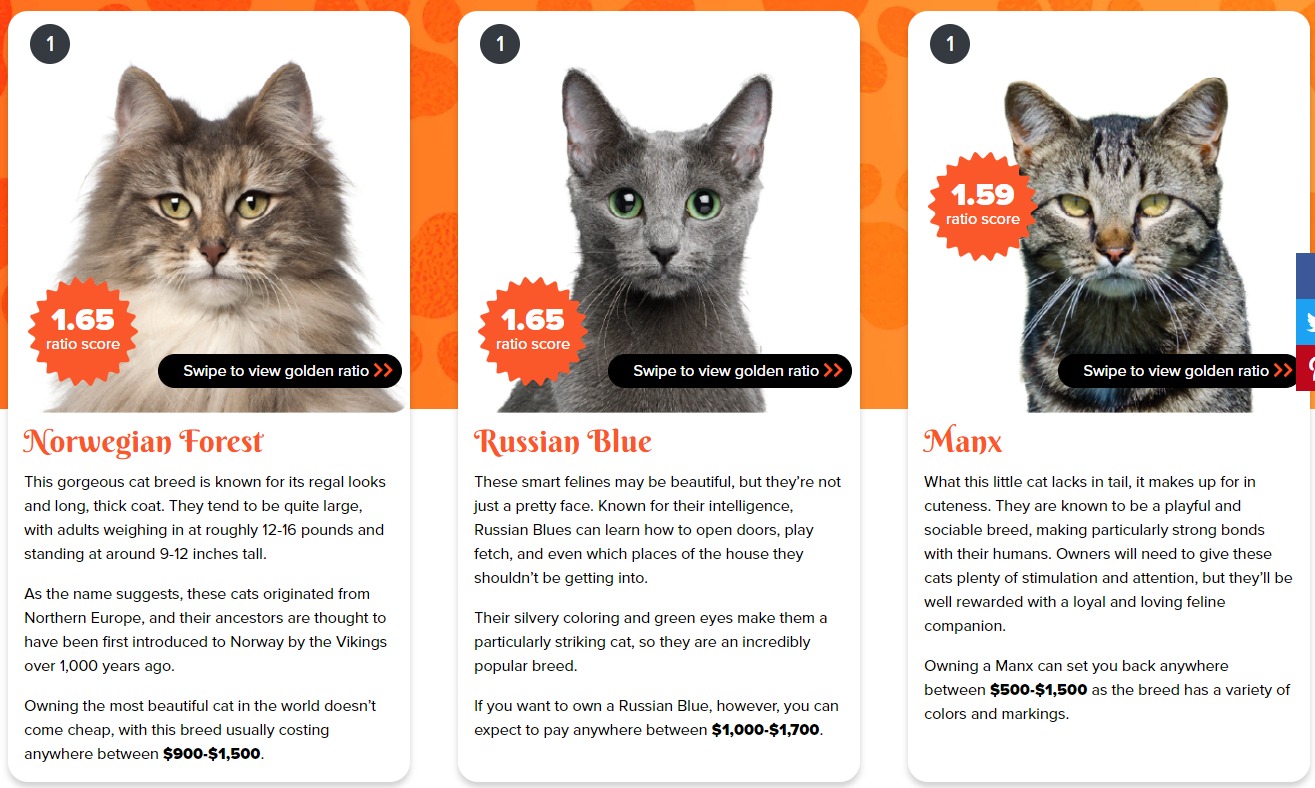 Рейтинг привлекательности котов. Скриншот с сайта allaboutcats.com