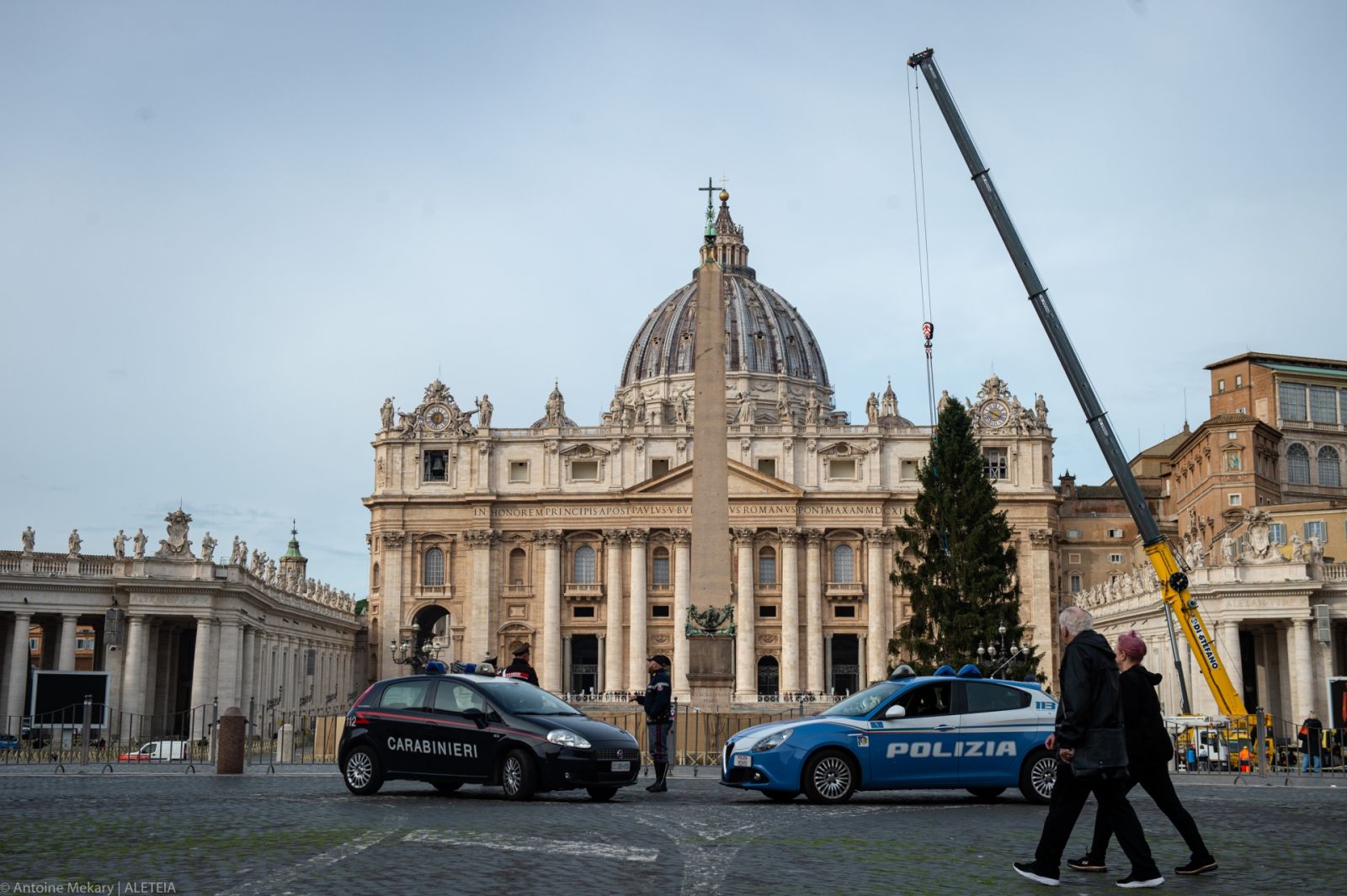Рождественская елка в Ватикане. Фото: Aleteia