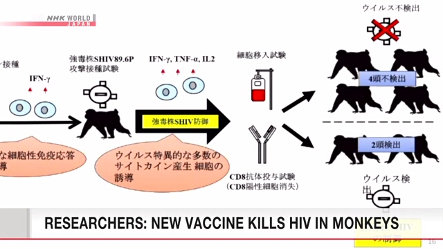 Инфографика: NHK