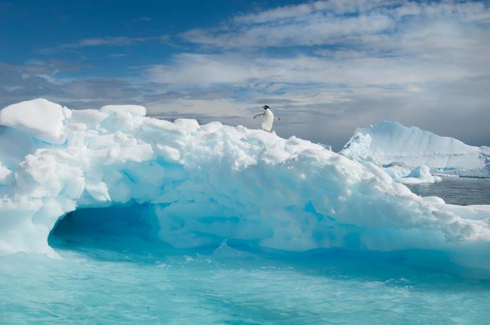 Потепління призведе до катастрофічних змін в Арктиці. Фото: energypolicy.ru