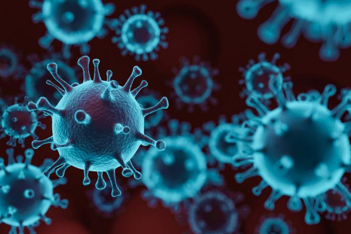 Как появился штамм коронавируса «Омикрон», выяснили ученые