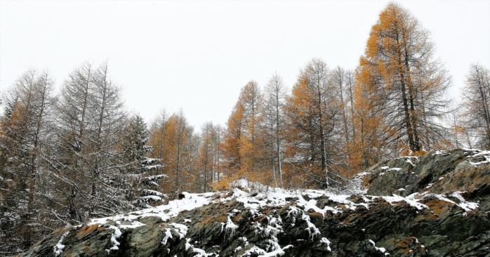 Мокрый снег ожидается в ряде регионов Украины