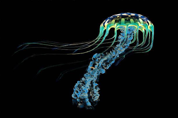 Редкую «призрачную» медузу поймали на видео