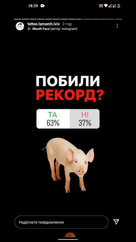 Набити куполи на свині - в тату-салон у Києві привели тварину