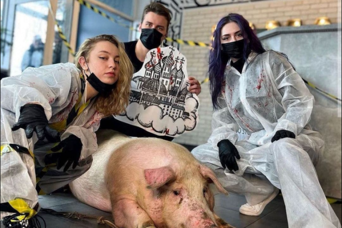 Набить купола на свинье – в тату-салон в Киеве привели животное