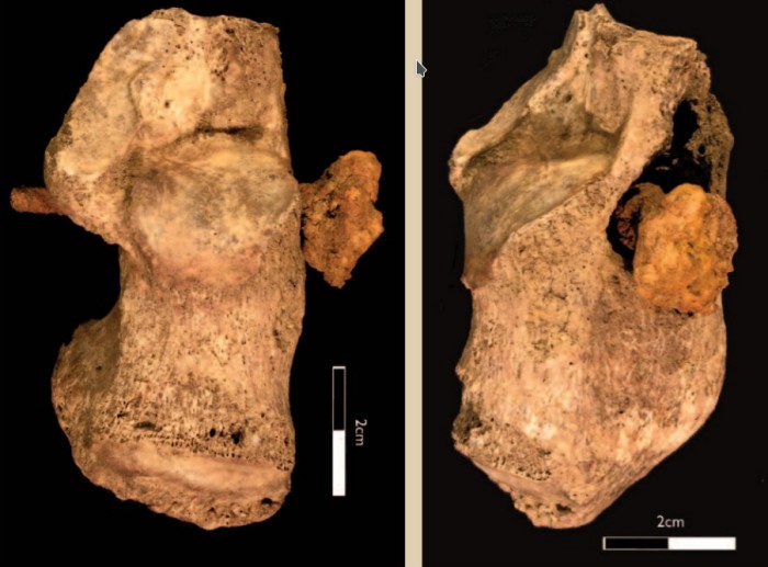В Великобритании впервые обнаружили следы устроенного римлянами распятия, фото: British Archaeology