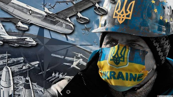 Умову вступу України до НАТО назвали в Держдепі. Фото: УП