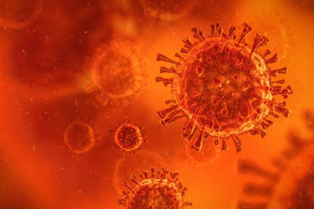 Ученые нашли «ахиллесову пяту» коронавируса. Фото: Istock