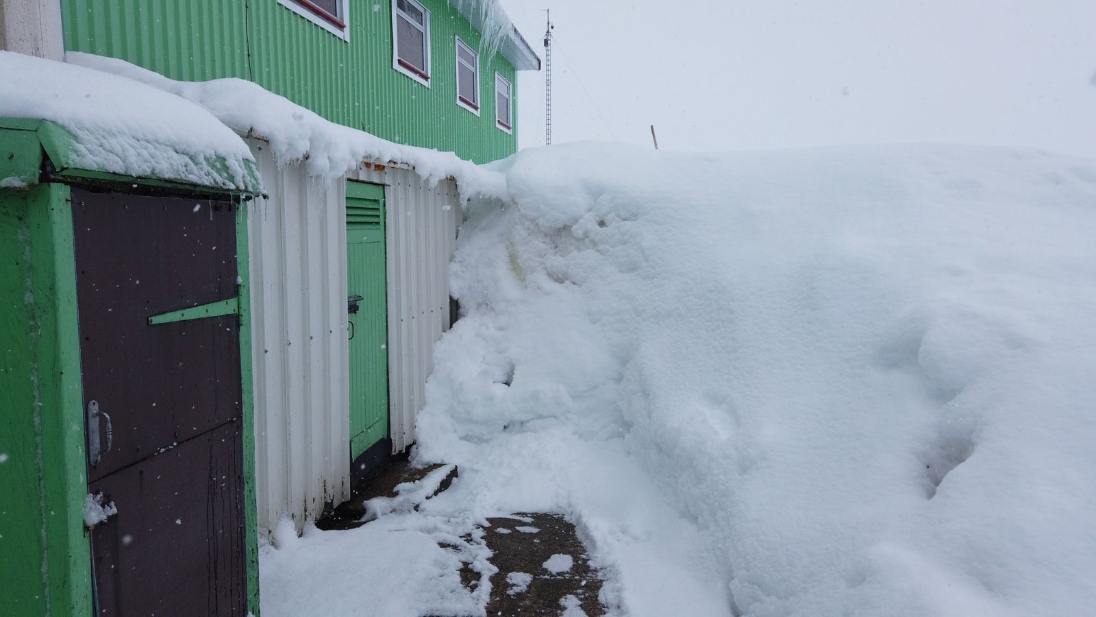 Снег в Антарктиде. Фото: Facebook