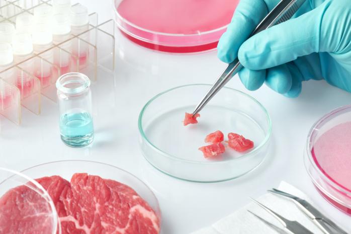 Штучне м’ясо, дешевше за звичайне, створили вчені. Фото: Укрінформ