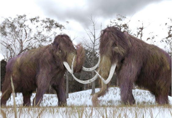 Ученые Канады добавили мамонтам пять тысяч лет жизни