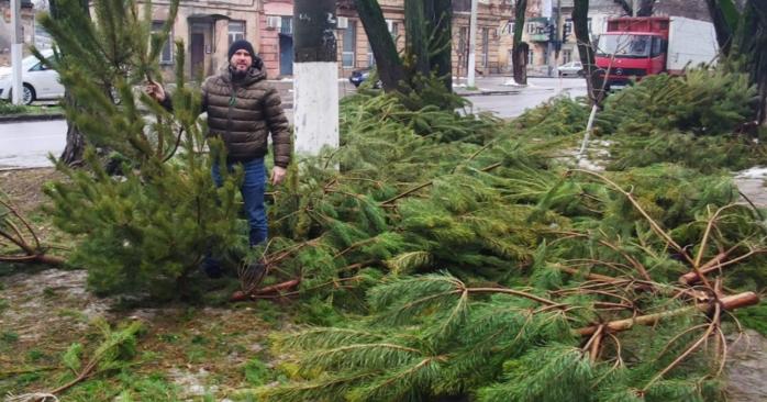Тысячи елок в Одессе выбросили на помойку. Фото: «Думская»