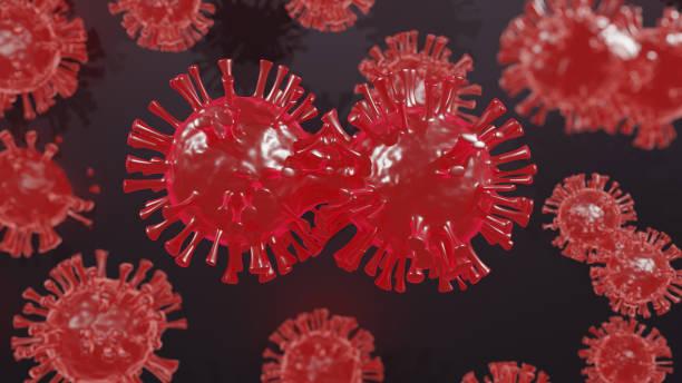 Новый штамм коронавируса с полусотней мутаций появился во Франции