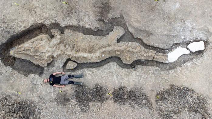 Скам'янілі останки гігантського динозавра здивували вчених. Фото: BBC