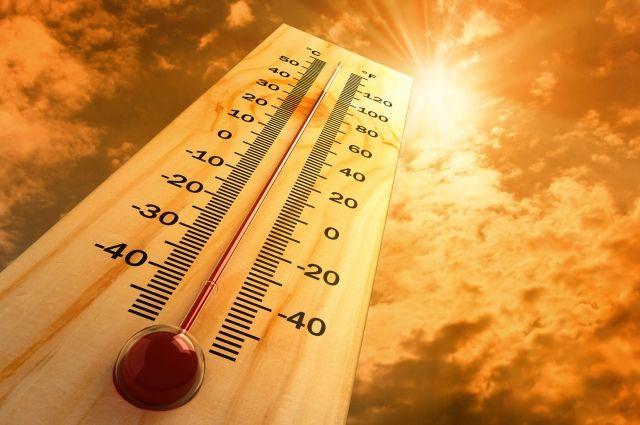 Температура в Австралії перевищила 50 градусів тепла