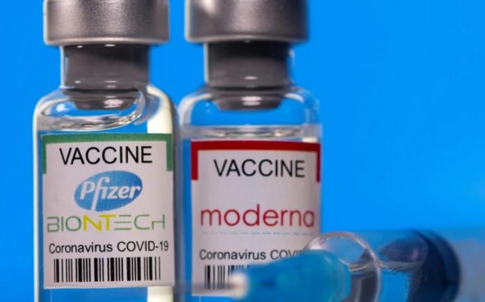 Появилось сравнение эффективности вакцин Pfizer и Moderna