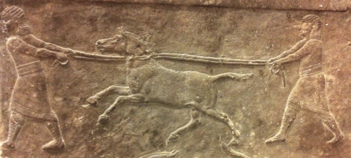 Выставленный в Британском музее в Лондоне барельеф из Ниневии «Охота на диких ослов». Фото: Eva-Maria Geigl/IJM/CNRS-Université de Paris