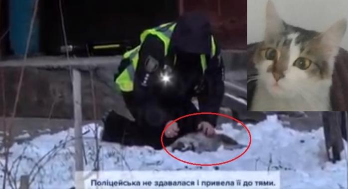 Полиция реанимировала кошку на пожаре во Львове