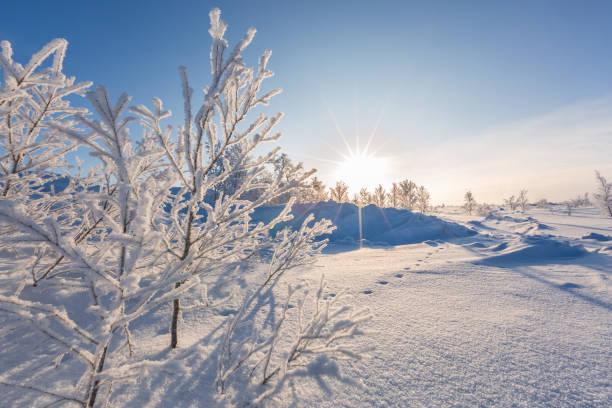 Снегопады и морозы продолжат бушевать по всей Украине (КАРТА)