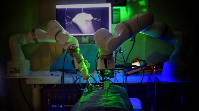 Робот STAR успешно провел самостоятельную операцию, фото: Университет Джона Хопкинса