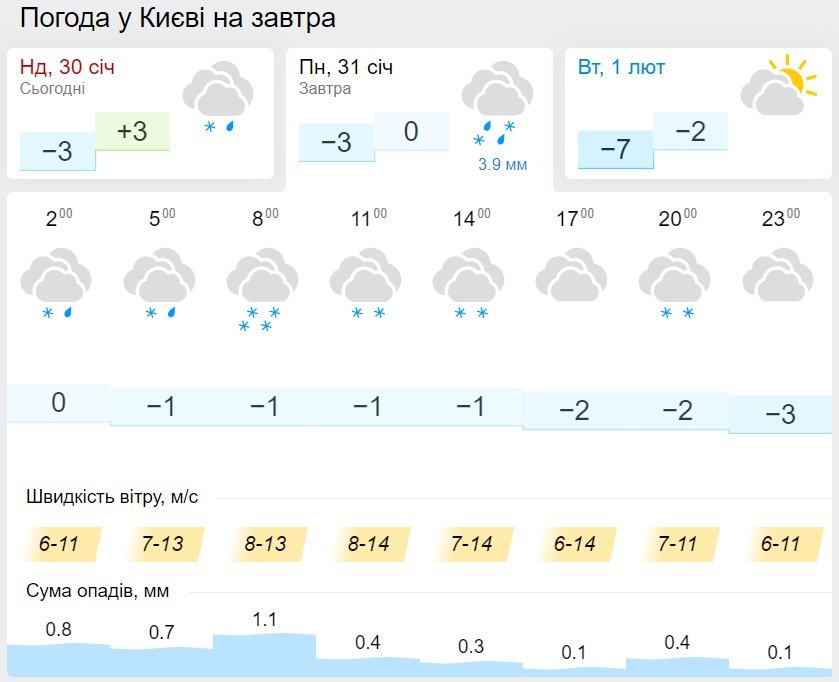Погода в Киеве 31 января, данные: Gismeteo