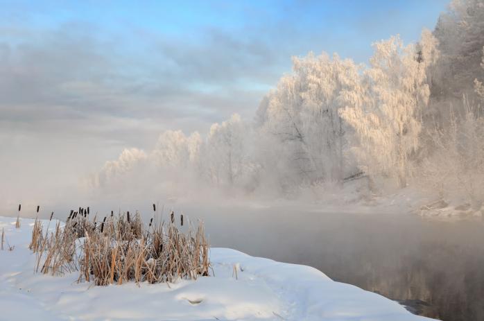 Магнитная буря и туман – погода в Украине 2 февраля