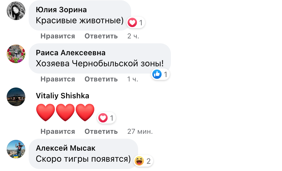 Реакция соцсетей. Фото: Facebook