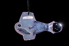 Рыба-робот. Фото: Science